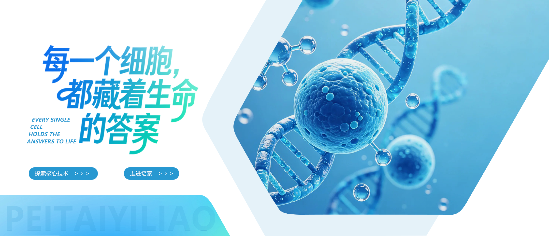 每一个细胞，都藏着生命的答案